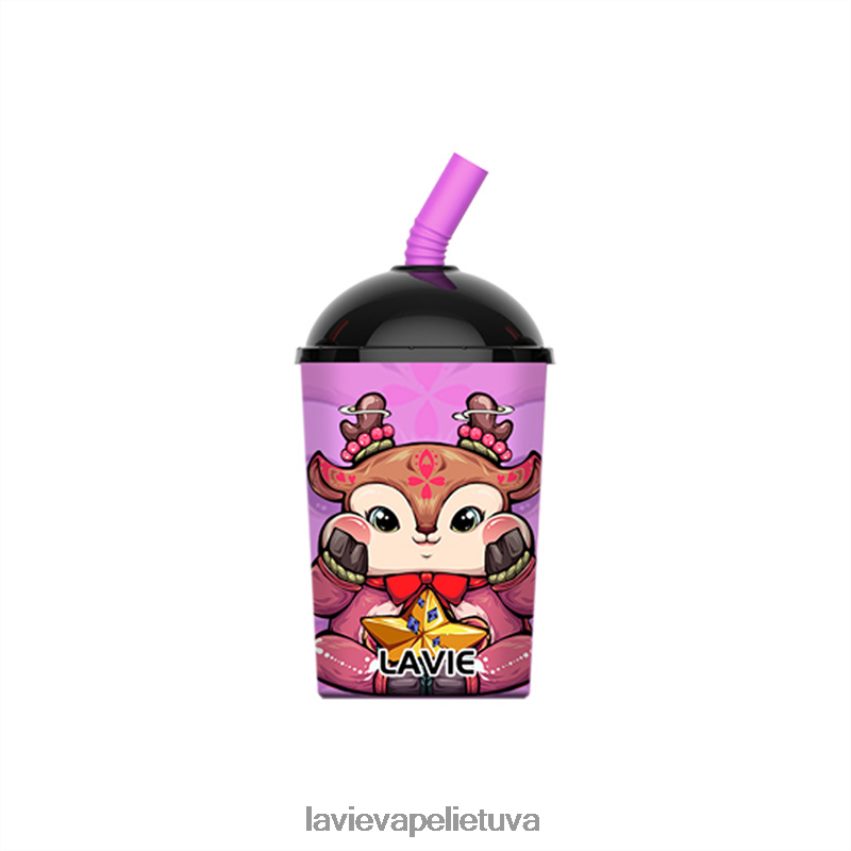 N226RV260 Lavie Vape Reddit | vynuogių ledas LAVIE Max Cup 8000 įkvėpimų